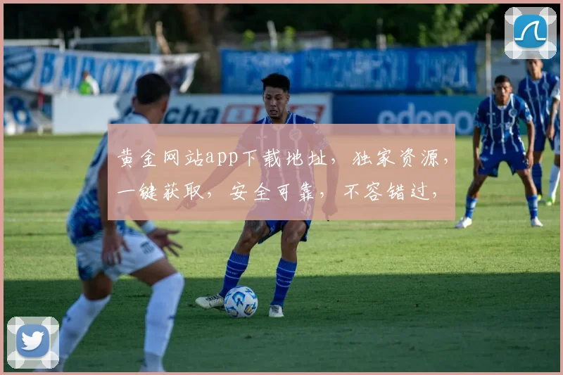 黄金网站app下载地址，独家资源，一键获取，安全可靠，不容错过，立即下载体验