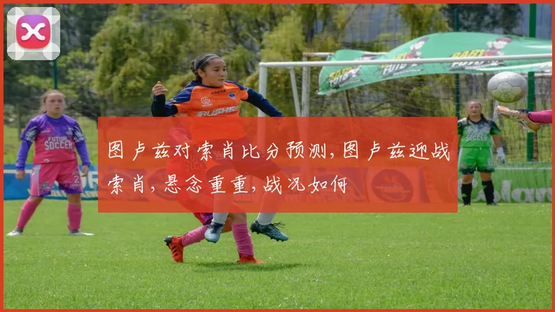 图卢兹对索肖比分预测,图卢兹迎战索肖,悬念重重,战况如何