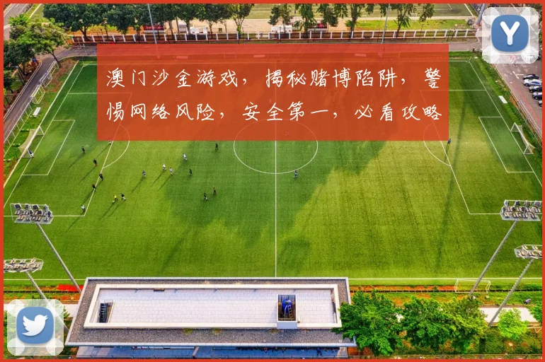 澳门沙金游戏，揭秘赌博陷阱，警惕网络风险，安全第一，必看攻略