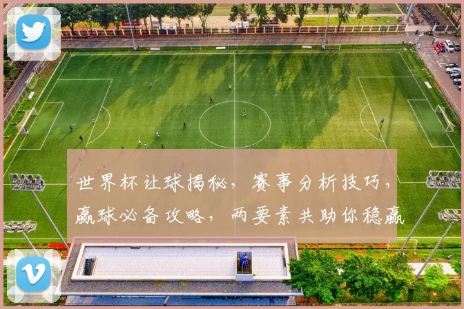 世界杯让球揭秘，赛事分析技巧，赢球必备攻略，两要素共助你稳赢