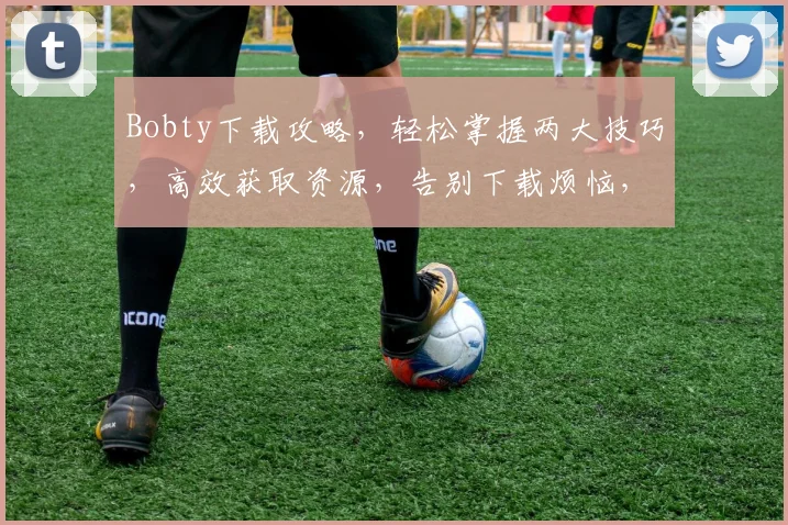 Bobty下载攻略，轻松掌握两大技巧，高效获取资源，告别下载烦恼，一网打尽